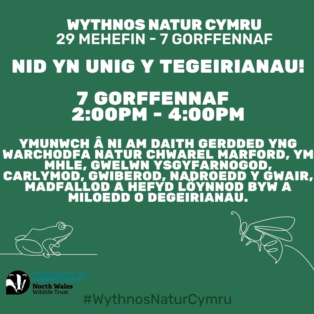 https://www.northwaleswildlifetrust.org.uk/cy/events/2024-07-07-nid-yn-unig-y-tegeirianau